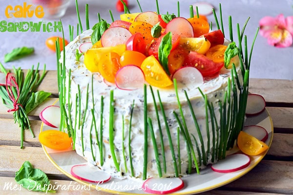 Sandwich Cake ou gâteau apéritif salé aux crudités - Stéphopoloc !