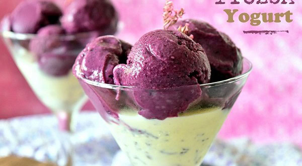 Frozen Yogurt Yaourt Glace Sans Sorbetiere Le Blog Cuisine De Samar