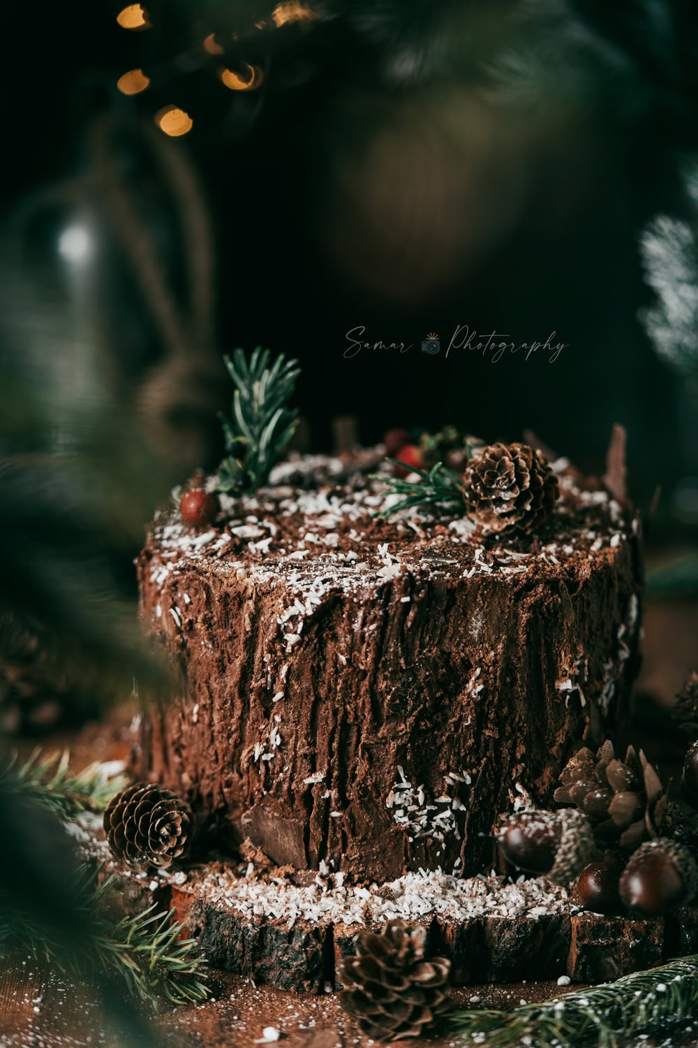 Gâteau au chocolat moelleux façon souche d'arbre