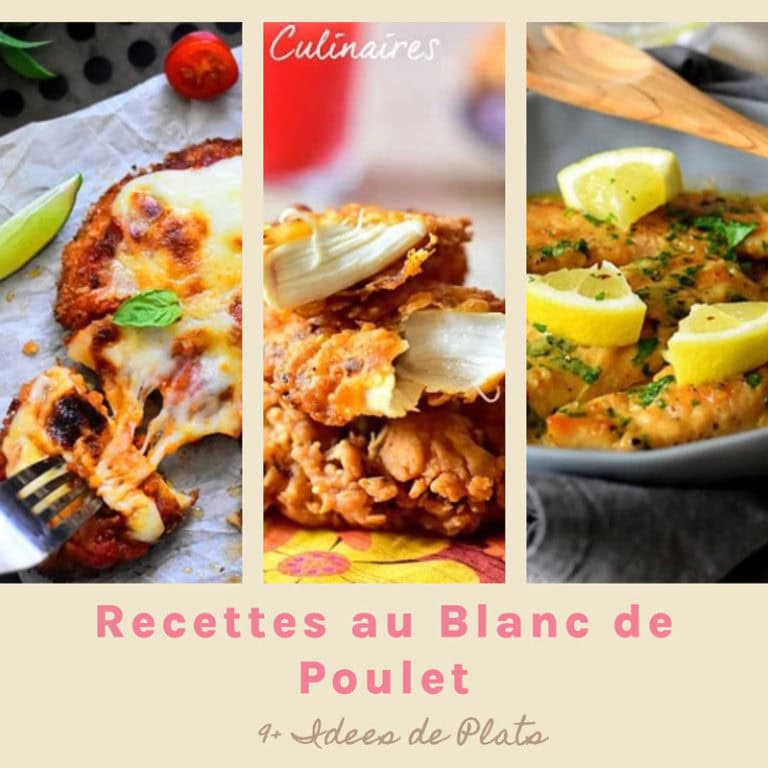 Recette au Blanc de Poulet