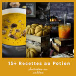 Recette au Potiron : 15+ Idées gourmandes